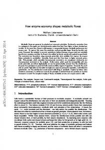 How enzyme economy shapes metabolic fluxes