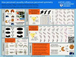 How perceived causality influences perceived symmetry