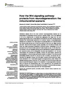 How the Wnt signaling pathway protects from ... - Semantic Scholar