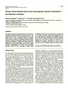 Hoxa2 patterns postmigratory cranial neural crest - CiteSeerX