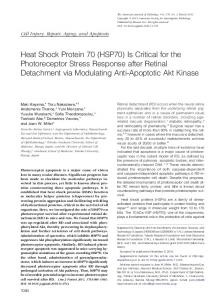 HSP70 - American Journal of Pathology