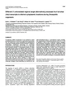 hts mRNA expression and localization - Journal of Cell Science - The ...