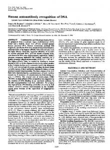 Human autoantibody recognition of DNA