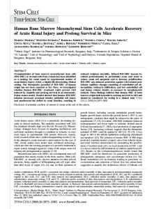 Human Bone Marrow Mesenchymal Stem Cells ... - Wiley Online Library