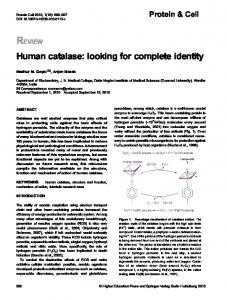 Human catalase - Springer Link