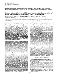 Human cytomegalovirus US3 impairs transport and maturation of