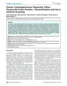 Human Cytomegaloviruses Expressing Yellow Fluorescent ... - PLOS