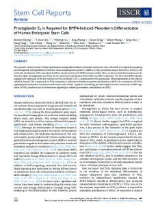 Human Embryonic Stem Cells - Cell Press