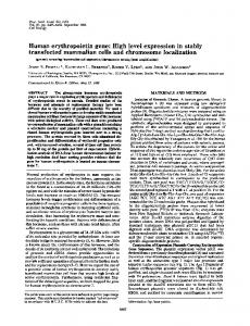 Human erythropoietin gene - Europe PMC