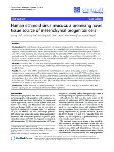 Human ethmoid sinus mucosa: a promising novel tissue source of ...