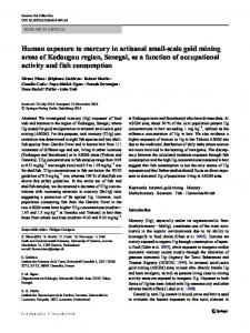 Human exposure to mercury in artisanal small-scale gold mining ...