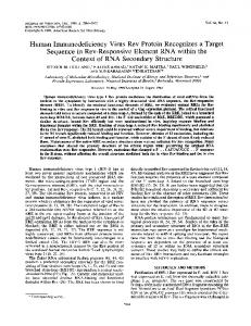 Human Immunodeficiency Virus Rev ... - Journal of Virology