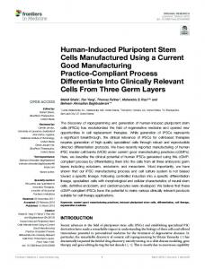 Human-Induced Pluripotent Stem Cells