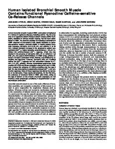 Human Isolated Bronchial Smooth Muscle ... - Semantic Scholar