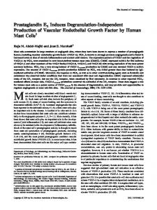 Human Mast Cells Vascular Endothelial Growth Factor by ...