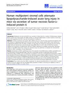 Human multipotent stromal cells attenuate ... - CiteSeerX