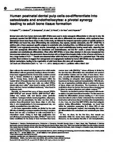 Human postnatal dental pulp cells co-differentiate into osteoblasts and