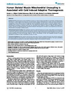 Human Skeletal Muscle Mitochondrial Uncoupling