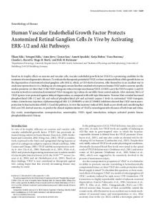 Human Vascular Endothelial Growth Factor ... - Semantic Scholar