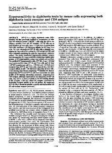 Hypersensitivity to diphtheria toxin by mouse cells expressing both ...