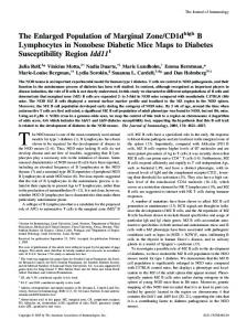 Idd11 Region Susceptibility Diabetic Mice Maps to Diabetes B ...