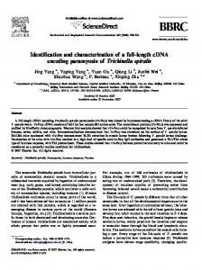 Identification and characterization of a full-length cDNA encoding ...