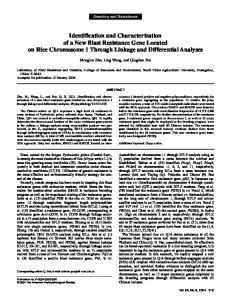 Identification and Characterization of a New Blast ... - APS Journals