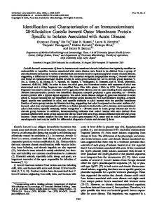 Identification and Characterization of an Immunodominant 28 ...