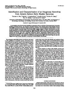 Identification and Characterization of an ... - Journal of Virology