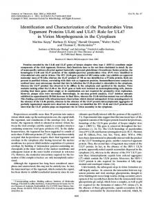 Identification and Characterization of the ... - Journal of Virology