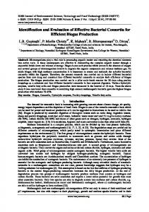 Identification and Evaluation of Effective Bacterial