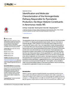Identification and Molecular Characterization of the Homogentisate ...