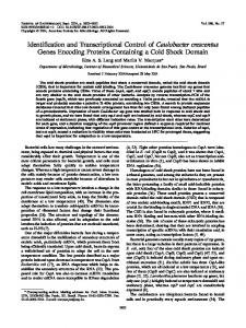 Identification and Transcriptional Control of Caulobacter crescentus ...