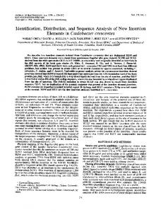 Identification, Distribution, and Sequence Analysis of ...