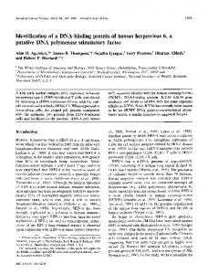 Identification of a DNA-binding protein of human ... - CiteSeerX