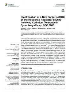 Identification of a New Target slr0946 of the Response Regulator