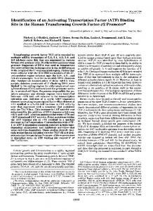 Identification of an activating transcription factor (ATF) binding site in ...