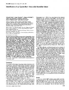 Identification of an Epstein-Barr virus-coded thymidine kinase.