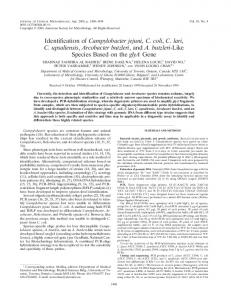 Identification of Campylobacter jejuni, C. coli, C. lari, C. upsaliensis