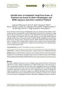 Identification of endophytic fungi from leaves of ... - MycoKeys