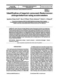 Identification of imperial cormorant Phalacrocorax ... - Inter Research