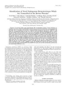 Identification of Novel Endogenous ... - Journal of Virology