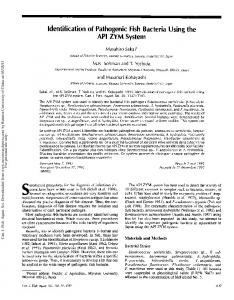 Identification of Pathogenic Fish Bacteria Using the ...