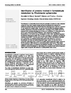 Identification of proteins involved in formaldehyde ... - CiteSeerX