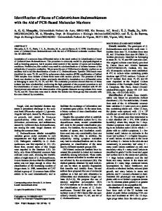 Identification of Races of Colletotrichum ... - APS Journals