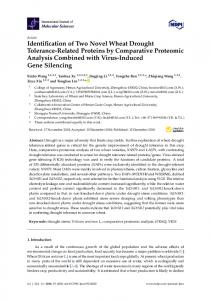 Identification of Two Novel Wheat Drought Tolerance