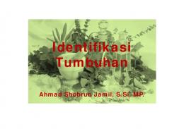 Identifikasi Tumbuhan