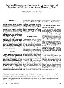 Immune Responses to Mycoplasma bovis Vaccination and ... - NCBI