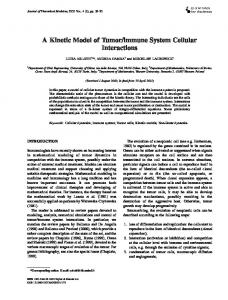 immune System Cellular Interactions