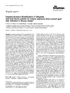 Immunochemical identification of ubiquitin and heat ... - Springer Link